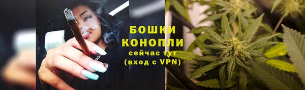 твердый Каменск-Шахтинский