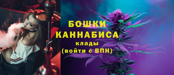 a pvp Каменка