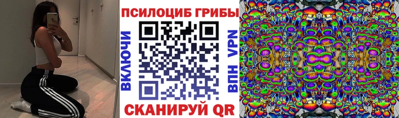 Псилоцибиновые грибы прущие грибы  Купить где  Миньяр 