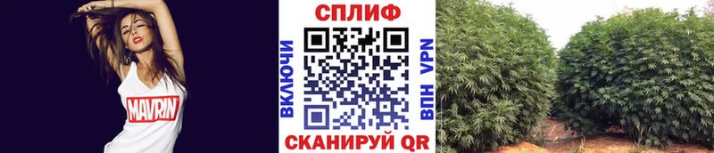Купить  Миньяр  Конопля конопля 